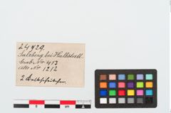Etiketten zu Kalksteinringperle (NHMW-PRAE-024929)